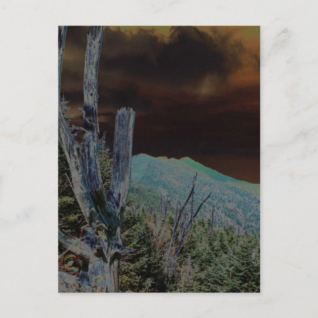 Postal Monte Mitchell, Carolina del Norte (Anverso)