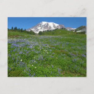 Postal Monte Rainier con lupinos púrpura