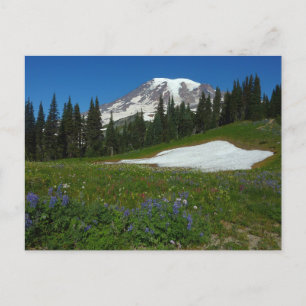 Postal Monte Rainier, Flores Silvestres y Nieve