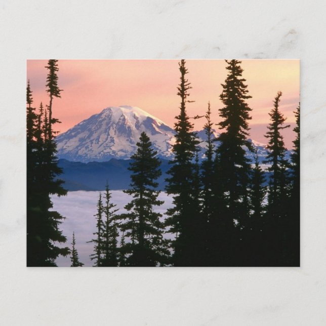 Postal Monte Ranier, Washington (Anverso)