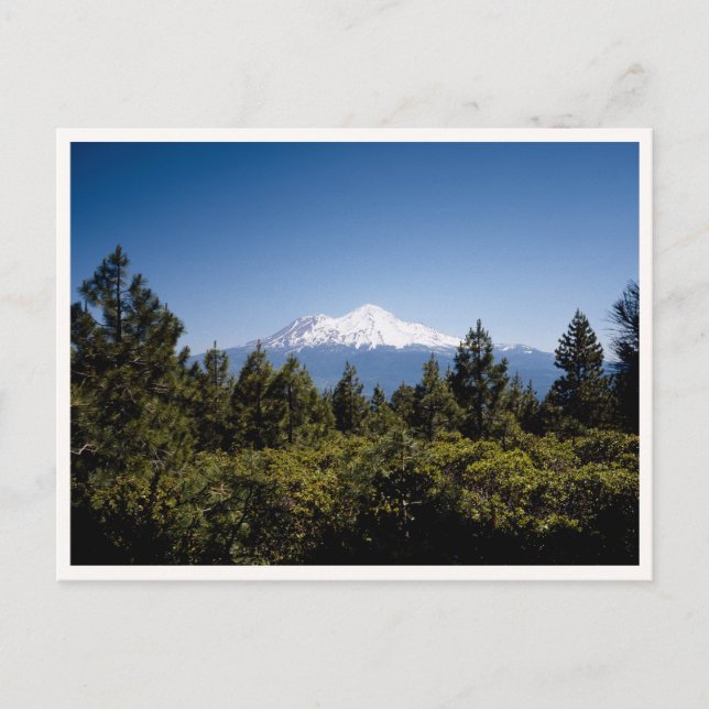 Postal Monte Ranier Washington Pacífico Noroeste (Anverso)