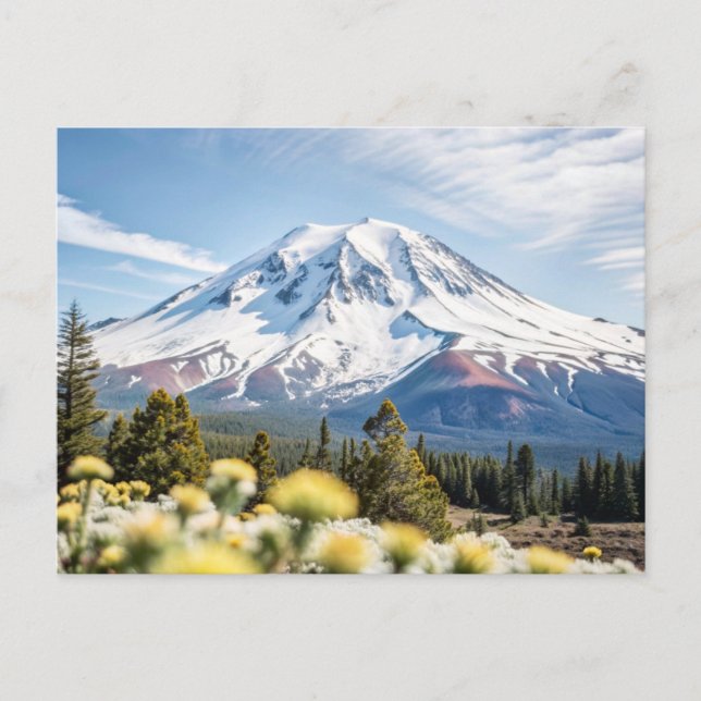 Postal Monte Shasta - California Snow Top (Anverso)