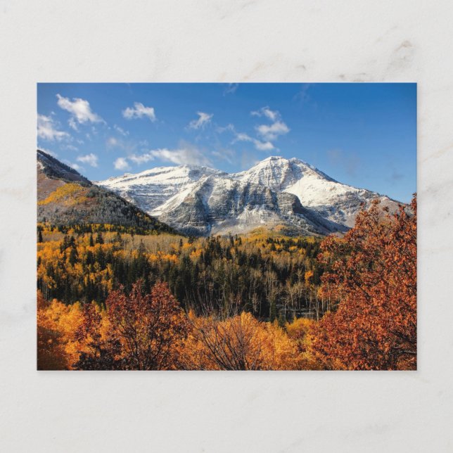 Postal Monte Timpanogos en las montañas de Utah en otoño (Anverso)