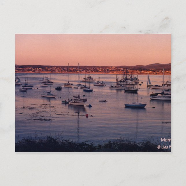 Postal Monterey Bay California 1985 (Anverso)