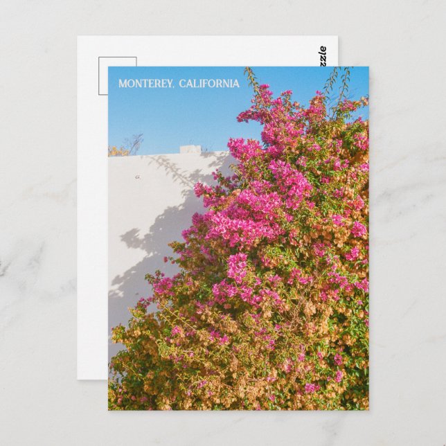 Postal Monterey Bay California | Fotografía cinematográfi (Anverso / Reverso)