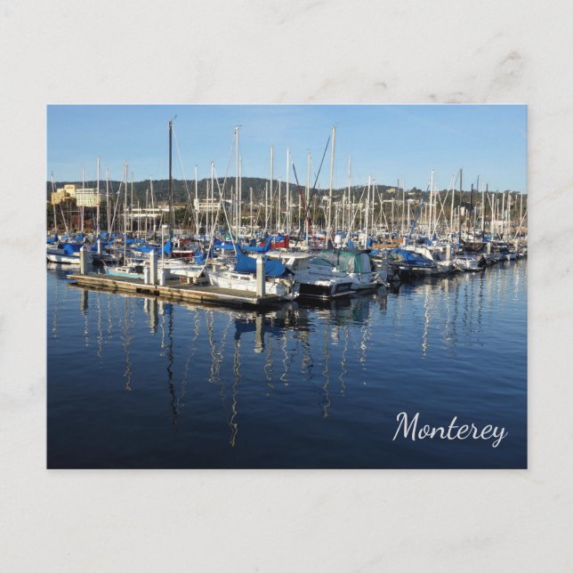 Postal Monterey Marina, Monterey, California Postcard (Anverso)