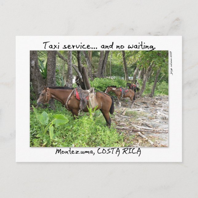 Postal Montezuma, Costa Rica (Anverso)