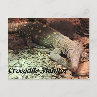 Postal Montior de cocodrilo