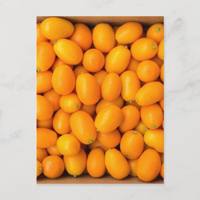 Postal Montón de kumquats naranjas en caja de cartón (Anverso)