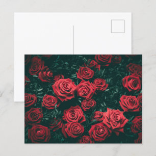 Postal Montón de rosas rojas