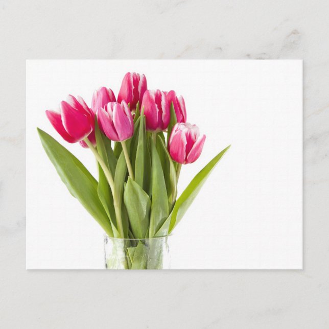 Postal Montón de tulipanes rojos y blancos en un jarrón d (Anverso)