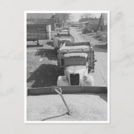 Postal Montones de maíz resguardado