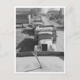 Postal Montones de maíz resguardado