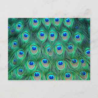 Postal montones de plumas