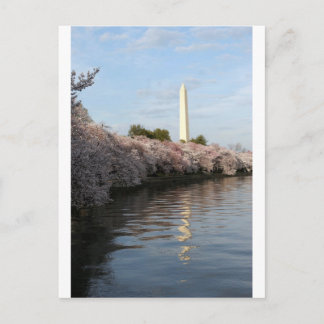 Postal Monumento a Cherry Blossom Washington