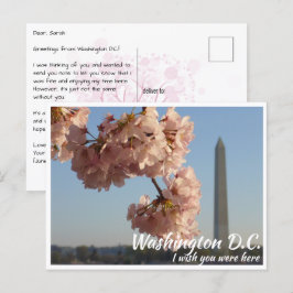 Postal Monumento a Jefferson Washington DC con cerezo