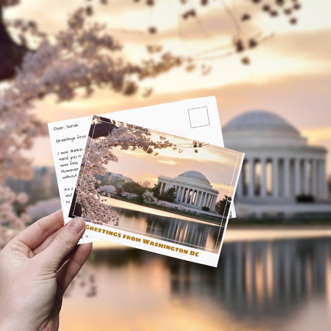 Postal Monumento a Jefferson Washington DC con cerezo en  (Subido por el creador)
