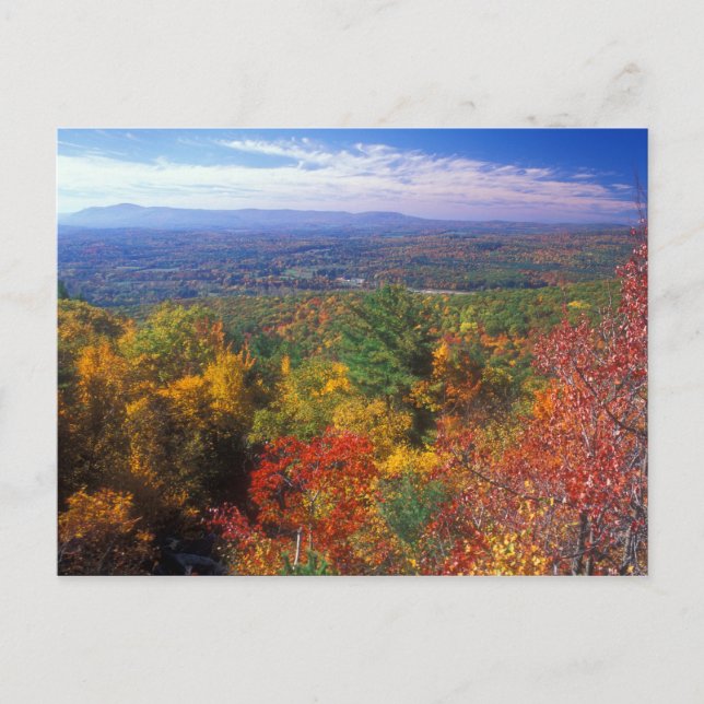 Postal Monumento a la vista del follaje de montaña (Anverso)