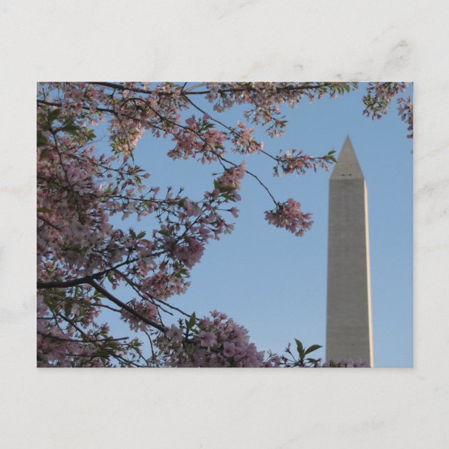 Postal Monumento a Washington (Anverso)