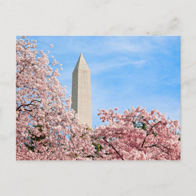 Postal Monumento a Washington (Anverso)