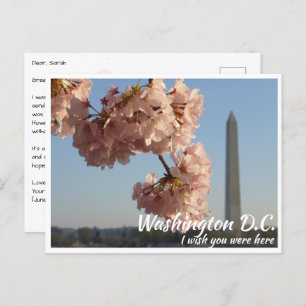Postal Monumento a Washington DC Jefferson con árbol de c