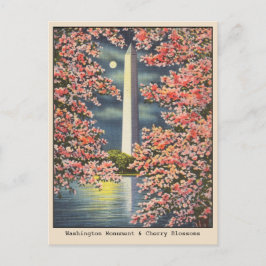 Postal Monumento a Washington y flores de cerezo DC