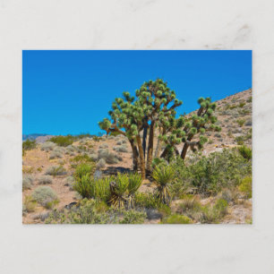 Postal Monumento nacional a la mantequilla de oro