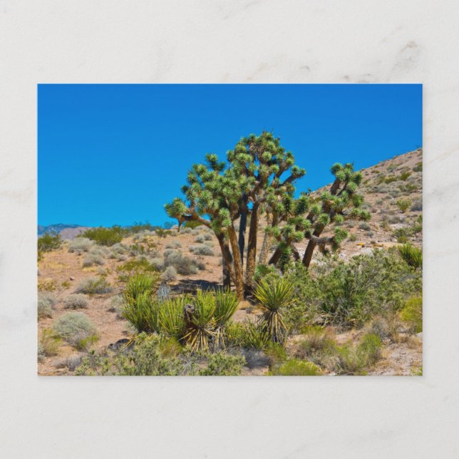 Postal Monumento nacional a la mantequilla de oro (Anverso)