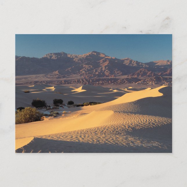 Postal Monumento Nacional del Valle de la Muerte, Califor (Anverso)