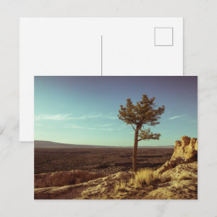 Postal Monumento Nacional El Malpais