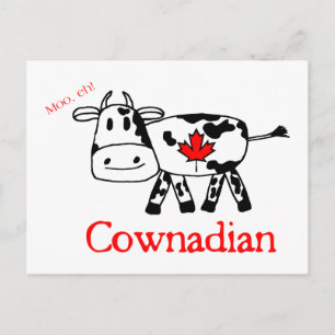 Postal Moo, Eh Postcard