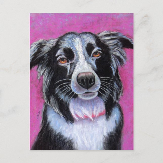 Postal Moon Dog Border Collie (Anverso)