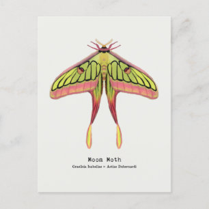 Postal Moon moth