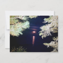 Postal Moon Through the Pines of Big Bay 2023 Postcard
