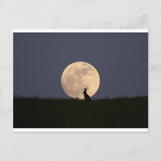 Postal Moongazer (Anverso)