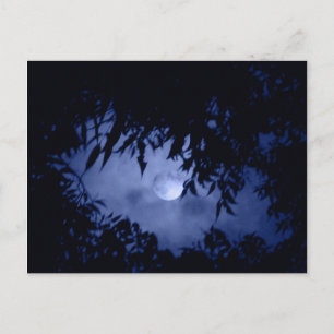 Postal Moonglow