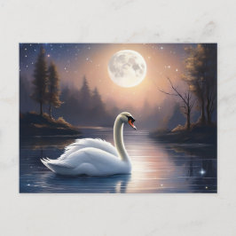 Postal Moonlit Swan
