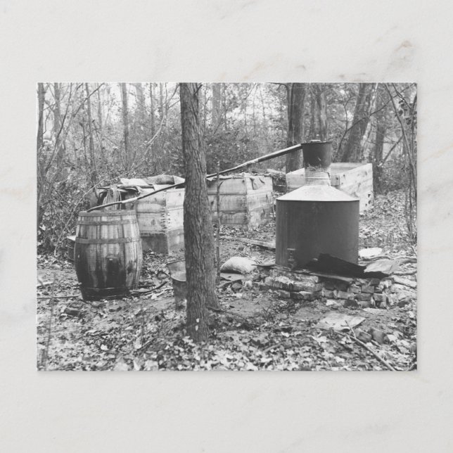 Postal Moonshine Still in the Woods, 1931 (Anverso)