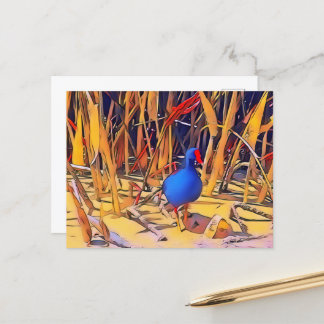 Postal Moorhen Postcard