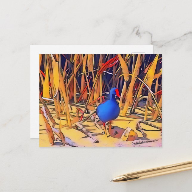 Postal Moorhen Postcard (Anverso/Reverso In Situ)