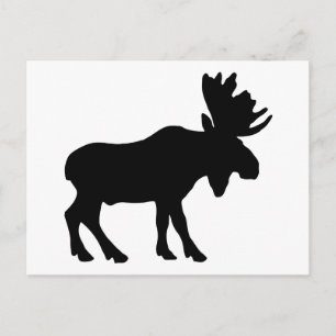 Postal Moose