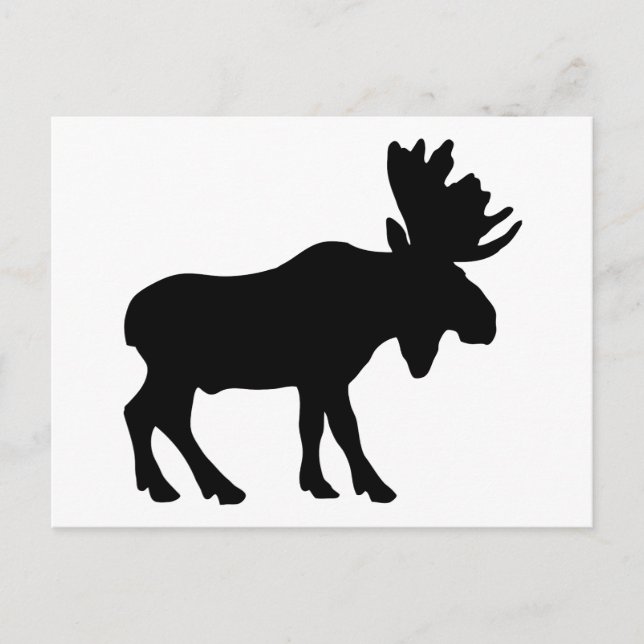 Postal Moose (Anverso)