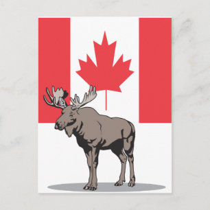 Postal Moose Canada