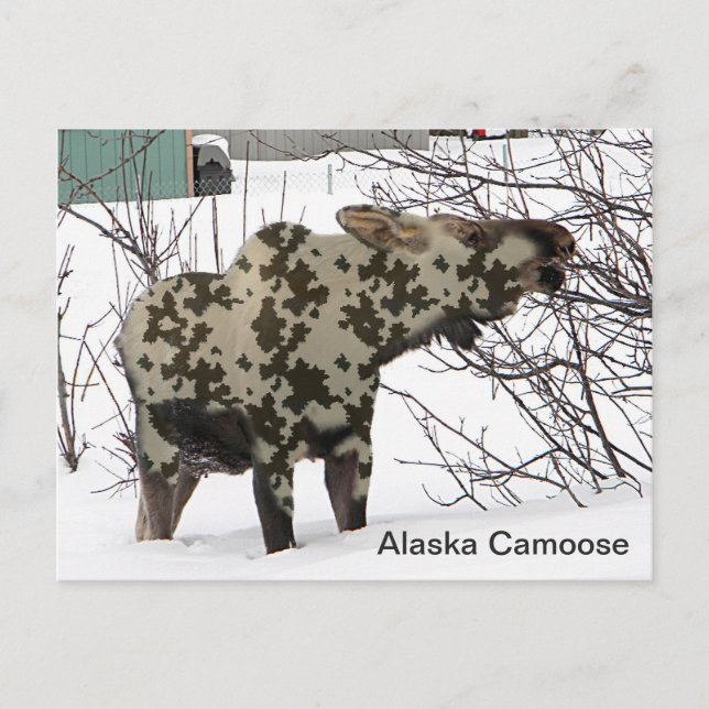 Postal Moose de camuflaje (ganso) (Anverso)