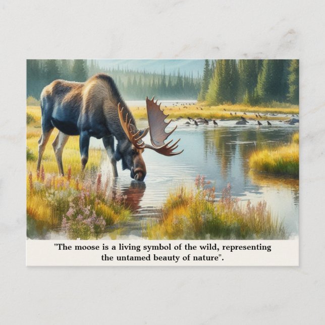 Postal Moose de la Naturaleza con cita (Anverso)