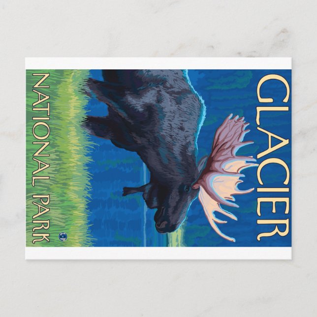 Postal Moose de noche - Parque Nacional Glacier, MT (Anverso)