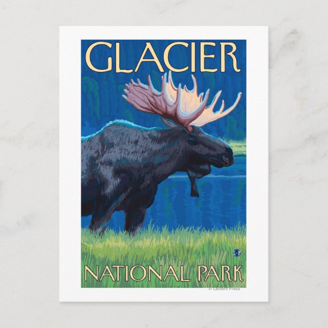 Postal Moose de noche - Parque Nacional Glacier, MT (Anverso)