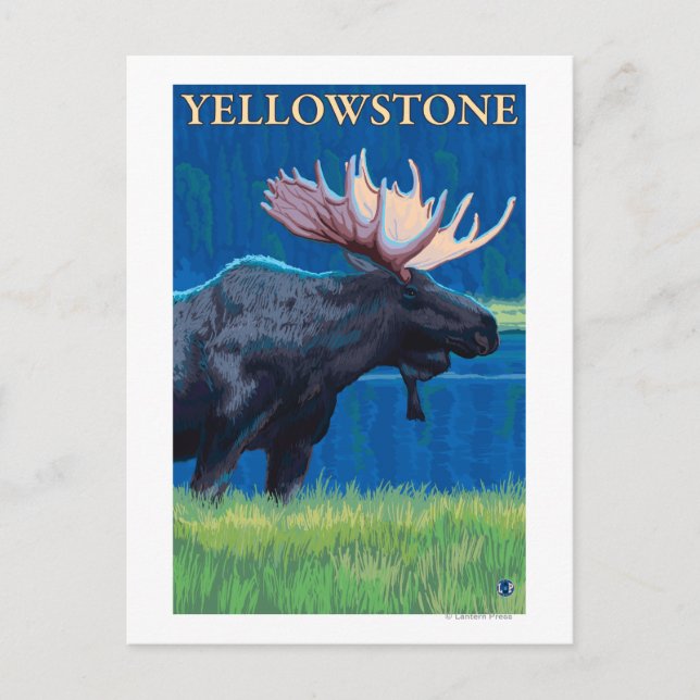 Postal Moose de noche - Parque nacional Yellowstone (Anverso)