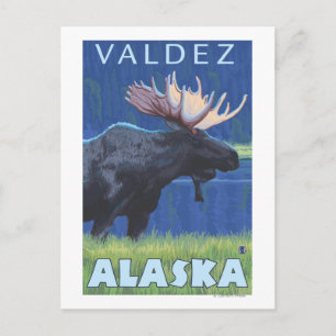 Postal Moose de noche - Valdez, Alaska