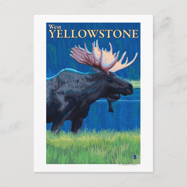 Postal Moose de noche - West Yellowstone, Montana (Anverso)